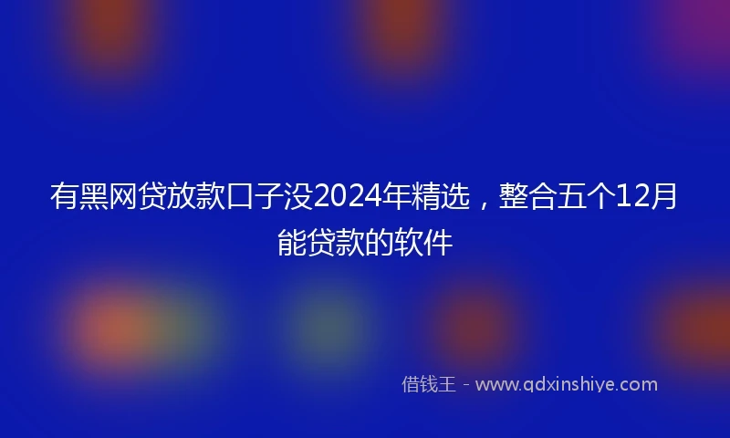 有黑网贷放款口子没2024年精选，整合五个12月能贷款的软件