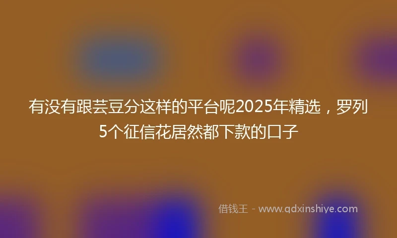 有没有跟芸豆分这样的平台呢2025年精选，罗列5个征信花居然都下款的口子