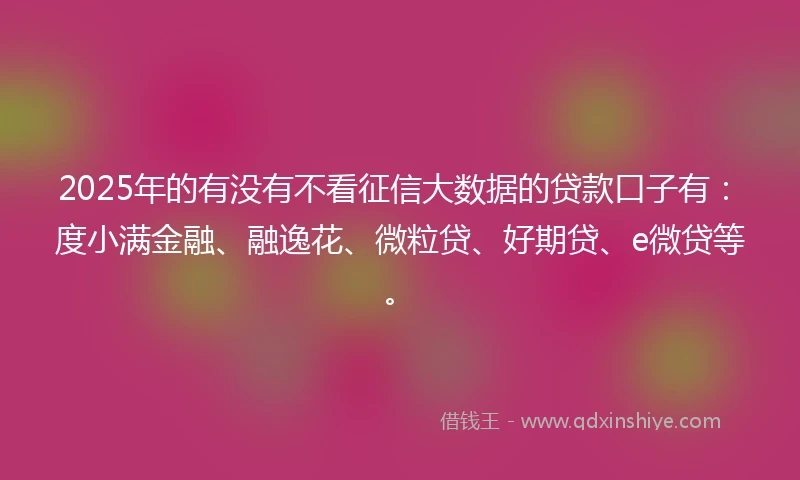 2025年的有没有不看征信大数据的贷款口子有：度小满金融、融逸花、微粒贷、好期贷、e微贷等。