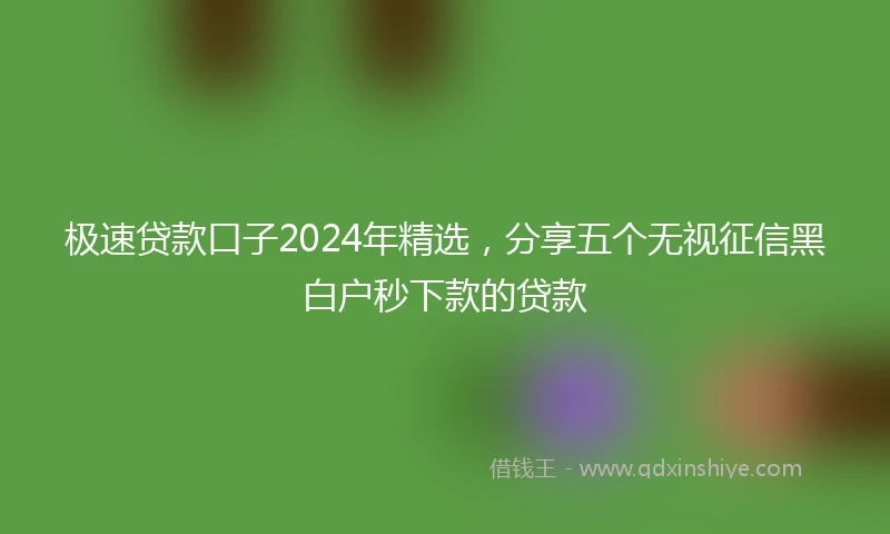 极速贷款口子2024年精选，分享五个无视征信黑白户秒下款的贷款