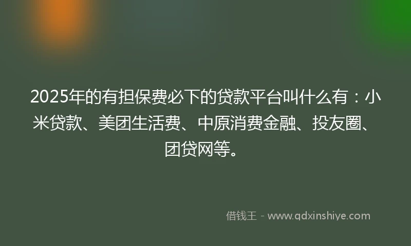 2025年的有担保费必下的贷款平台叫什么有：小米贷款、美团生活费、中原消费金融、投友圈、团贷网等。