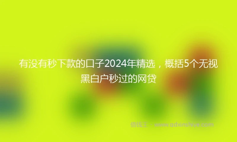 有没有秒下款的口子2024年精选，概括5个无视黑白户秒过的网贷