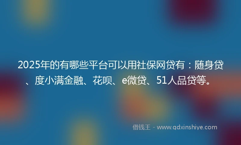 2025年的有哪些平台可以用社保网贷有：随身贷、度小满金融、花呗、e微贷、51人品贷等。