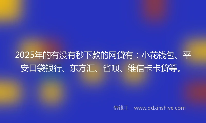 2025年的有没有秒下款的网贷有：小花钱包、平安口袋银行、东方汇、省呗、维信卡卡贷等。