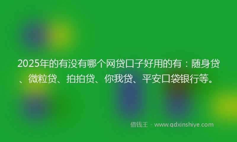 2025年的有没有哪个网贷口子好用的有：随身贷、微粒贷、拍拍贷、你我贷、平安口袋银行等。