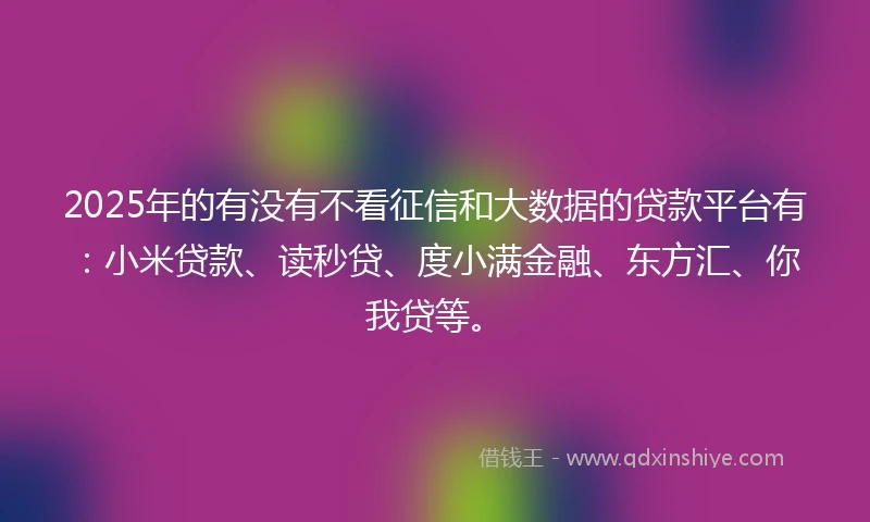 2025年的有没有不看征信和大数据的贷款平台有：小米贷款、读秒贷、度小满金融、东方汇、你我贷等。