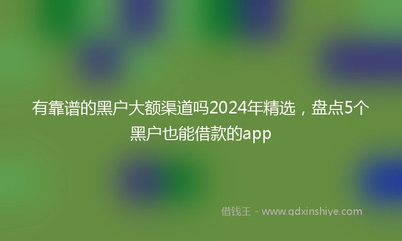 有靠谱的黑户大额渠道吗2024年精选，盘点5个黑户也能借款的app