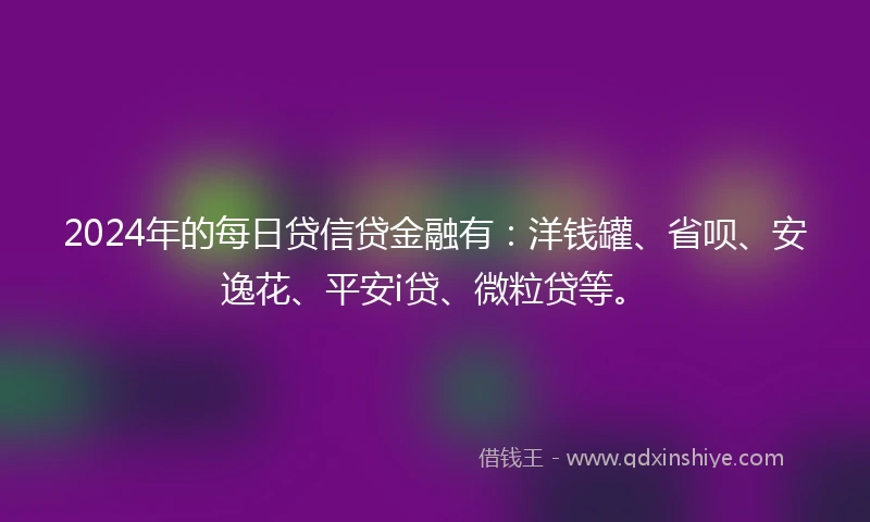2024年的每日贷信贷金融有：洋钱罐、省呗、安逸花、平安i贷、微粒贷等。