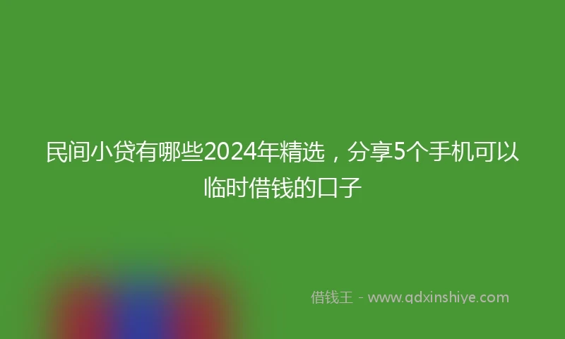 民间小贷有哪些2024年精选，分享5个手机可以临时借钱的口子
