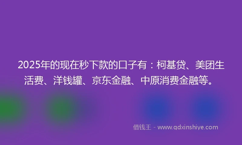 2025年的现在秒下款的口子有：柯基贷、美团生活费、洋钱罐、京东金融、中原消费金融等。