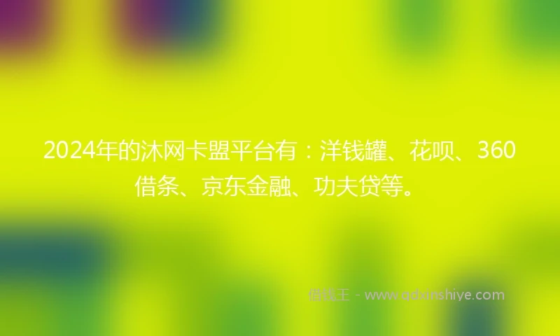 2024年的沐网卡盟平台有：洋钱罐、花呗、360借条、京东金融、功夫贷等。