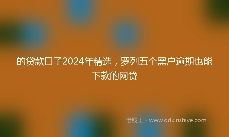 的贷款口子2024年精选，罗列五个黑户逾期也能下款的网贷