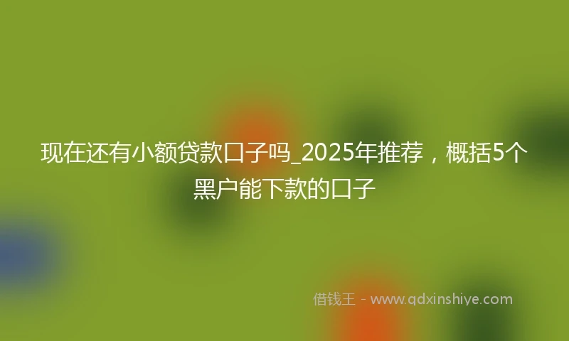 现在还有小额贷款口子吗_2025年推荐，概括5个黑户能下款的口子