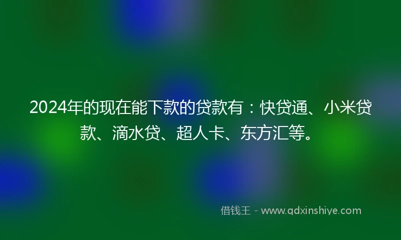 2024年的现在能下款的贷款有：快贷通、小米贷款、滴水贷、超人卡、东方汇等。
