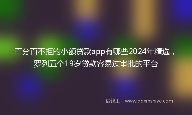 百分百不拒的小额贷款app有哪些2024年精选，罗列五个19岁贷款容易过审批的平台