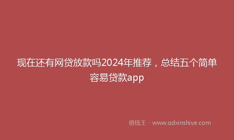 现在还有网贷放款吗2024年推荐，总结五个简单容易贷款app