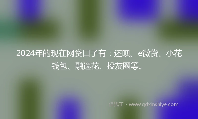 2024年的现在网贷口子有：还呗、e微贷、小花钱包、融逸花、投友圈等。