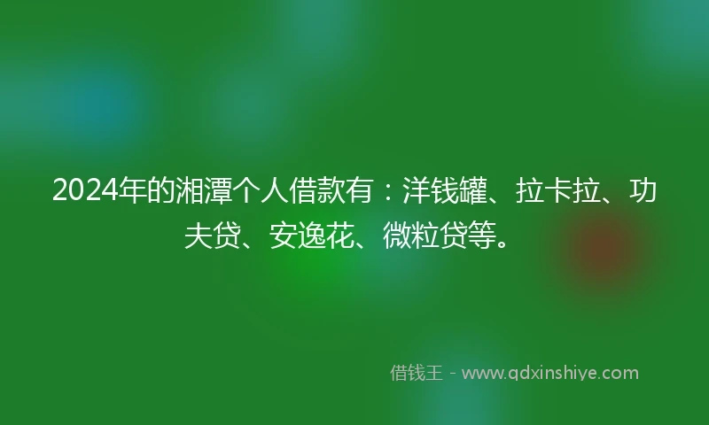 2024年的湘潭个人借款有：洋钱罐、拉卡拉、功夫贷、安逸花、微粒贷等。