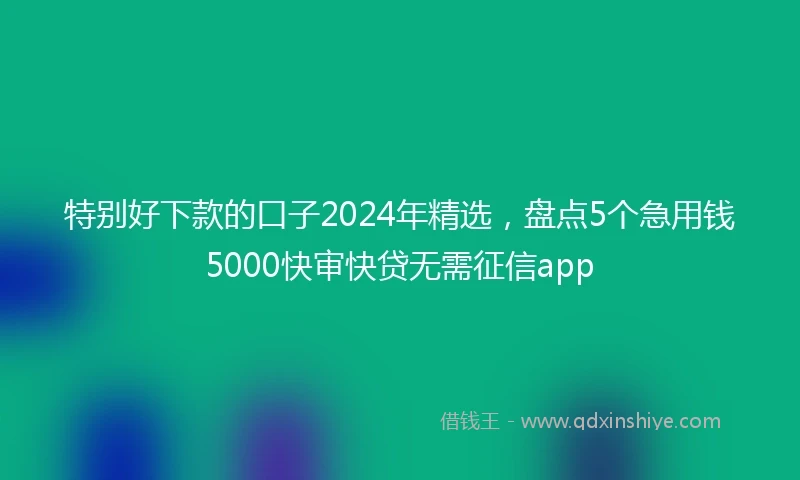 特别好下款的口子2024年精选，盘点5个急用钱5000快审快贷无需征信app