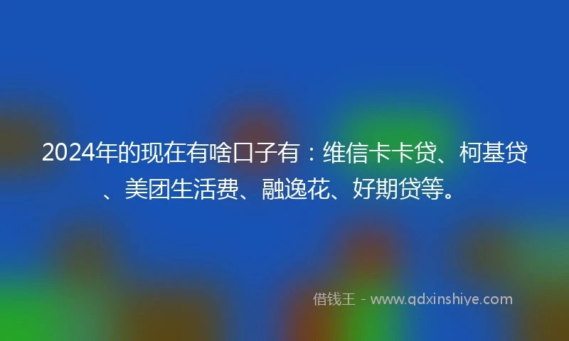 2024年的现在有啥口子有：维信卡卡贷、柯基贷、美团生活费、融逸花、好期贷等。