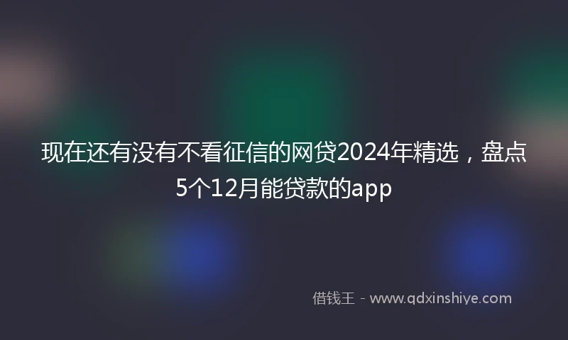 现在还有没有不看征信的网贷2024年精选，盘点5个12月能贷款的app