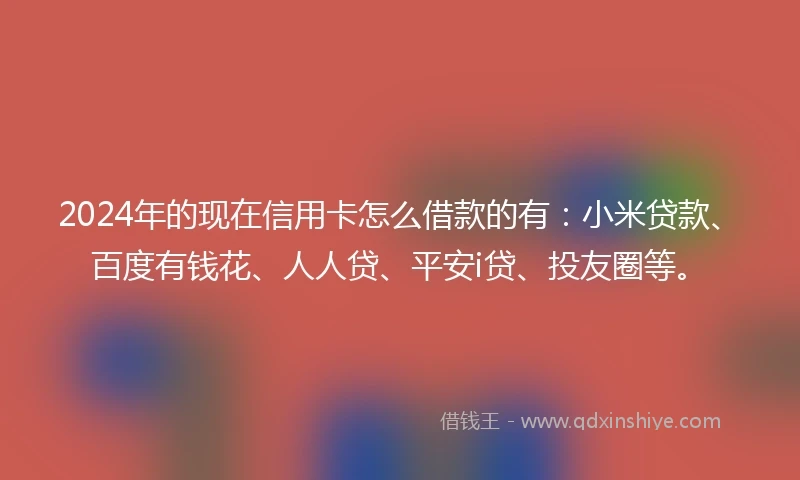 2024年的现在信用卡怎么借款的有：小米贷款、百度有钱花、人人贷、平安i贷、投友圈等。