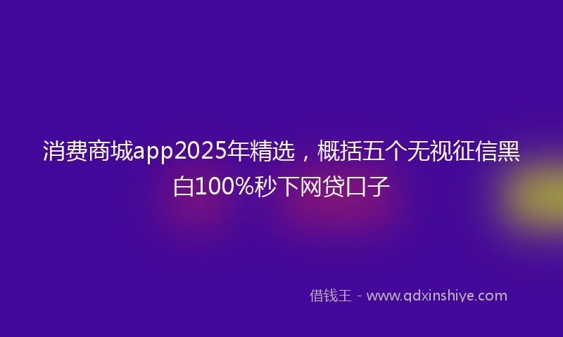 消费商城app2025年精选，概括五个无视征信黑白100%秒下网贷口子