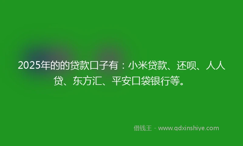 2025年的的贷款口子有：小米贷款、还呗、人人贷、东方汇、平安口袋银行等。