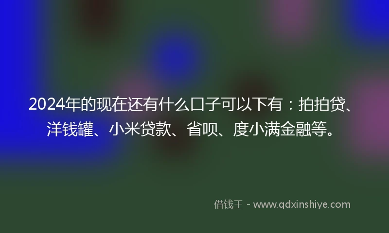 2024年的现在还有什么口子可以下有：拍拍贷、洋钱罐、小米贷款、省呗、度小满金融等。