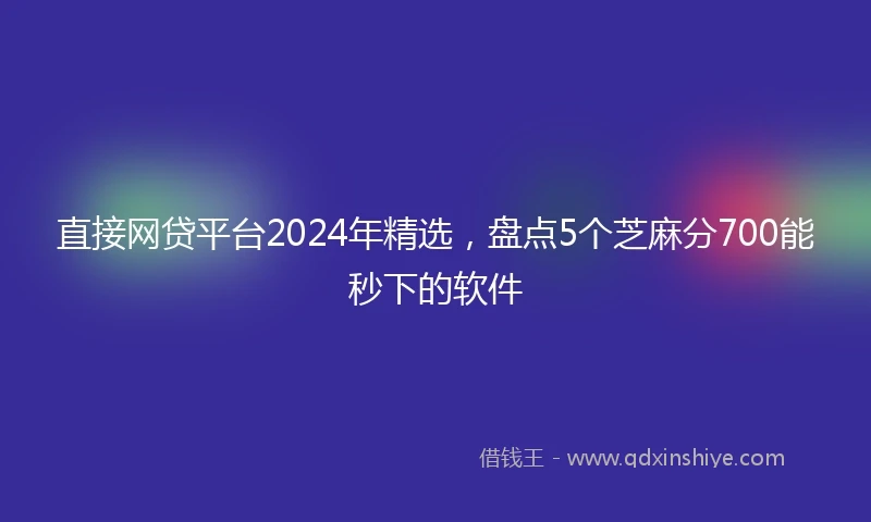 直接网贷平台2024年精选，盘点5个芝麻分700能秒下的软件