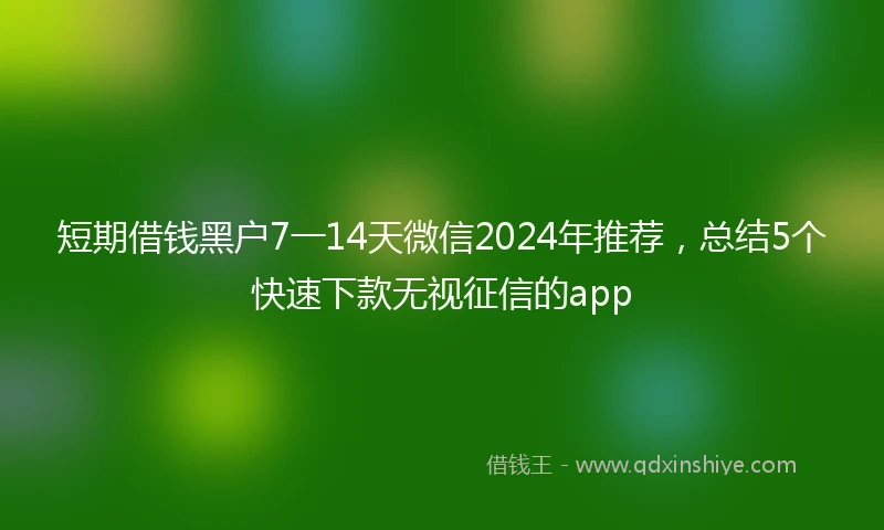 短期借钱黑户7一14天微信2024年推荐，总结5个快速下款无视征信的app