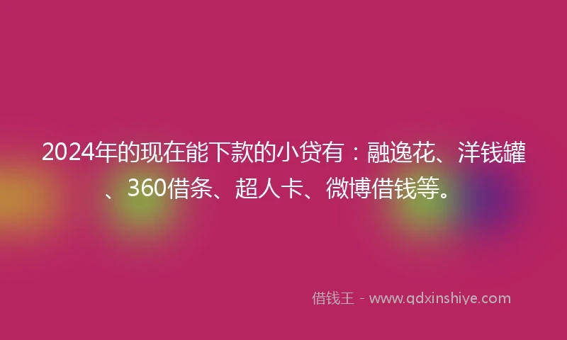 2024年的现在能下款的小贷有：融逸花、洋钱罐、360借条、超人卡、微博借钱等。