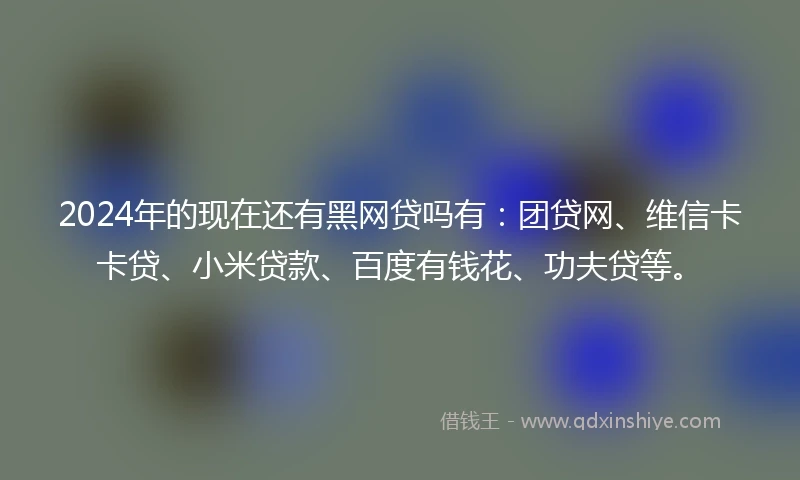 2024年的现在还有黑网贷吗有：团贷网、维信卡卡贷、小米贷款、百度有钱花、功夫贷等。