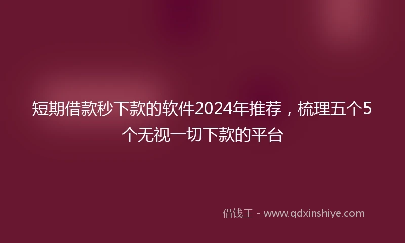 短期借款秒下款的软件2024年推荐，梳理五个5个无视一切下款的平台