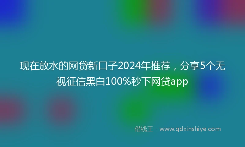 现在放水的网贷新口子2024年推荐，分享5个无视征信黑白100%秒下网贷app
