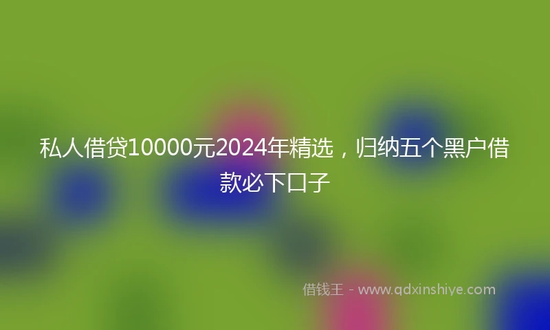 私人借贷10000元2024年精选，归纳五个黑户借款必下口子