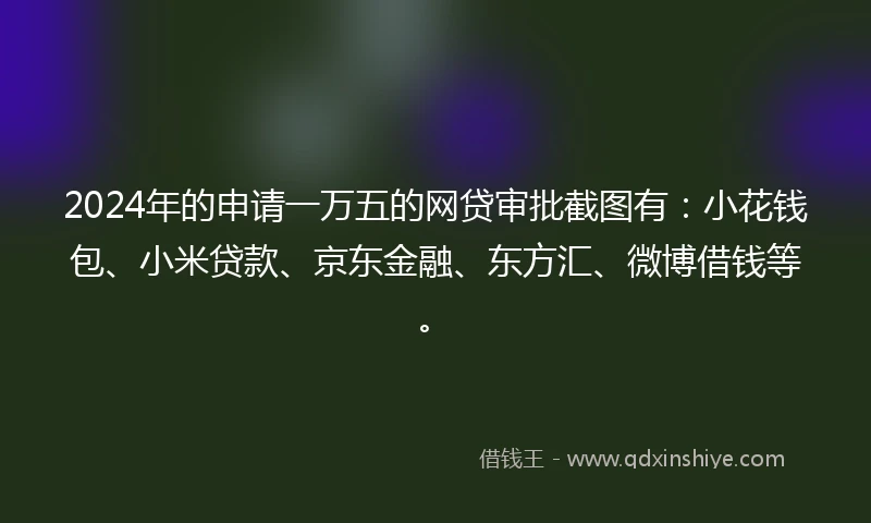 2024年的申请一万五的网贷审批截图有：小花钱包、小米贷款、京东金融、东方汇、微博借钱等。