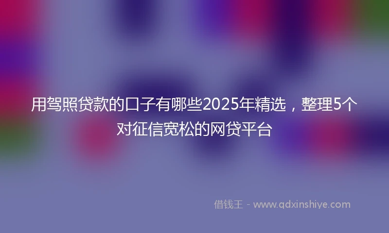 用驾照贷款的口子有哪些2025年精选，整理5个对征信宽松的网贷平台
