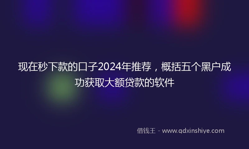 现在秒下款的口子2024年推荐，概括五个黑户成功获取大额贷款的软件