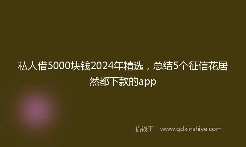 私人借5000块钱2024年精选，总结5个征信花居然都下款的app