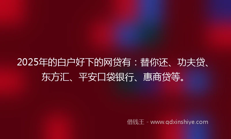 2025年的白户好下的网贷有：替你还、功夫贷、东方汇、平安口袋银行、惠商贷等。
