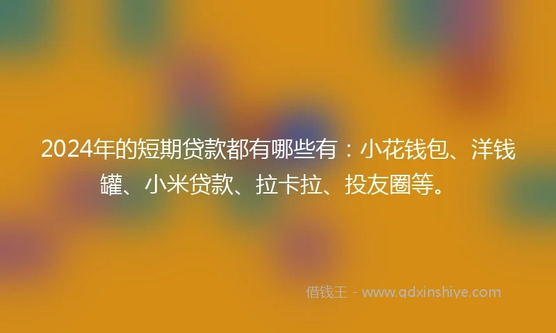 2024年的短期贷款都有哪些有：小花钱包、洋钱罐、小米贷款、拉卡拉、投友圈等。