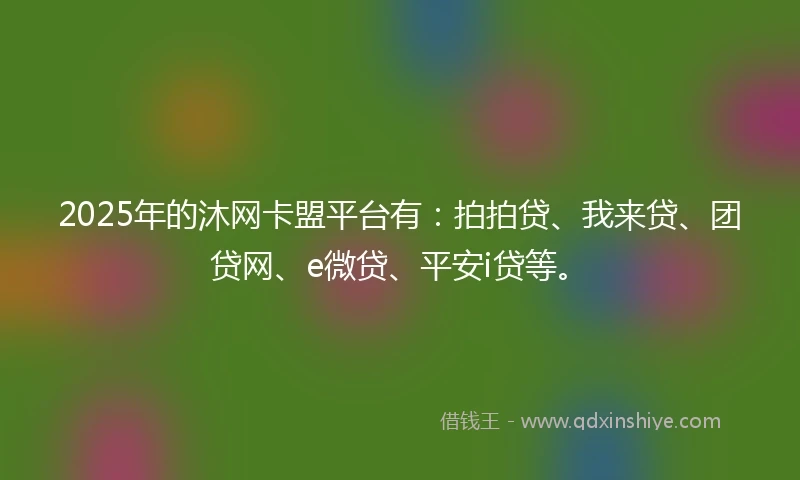2025年的沐网卡盟平台有：拍拍贷、我来贷、团贷网、e微贷、平安i贷等。