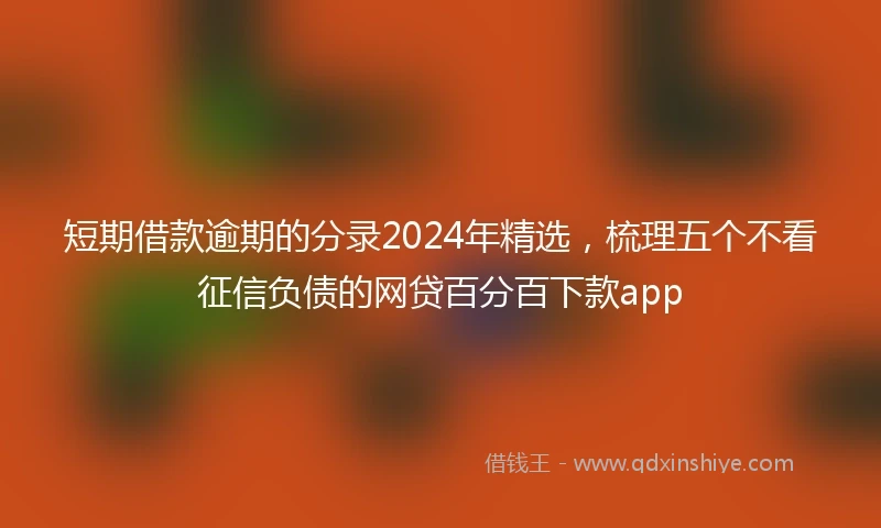 短期借款逾期的分录2024年精选，梳理五个不看征信负债的网贷百分百下款app