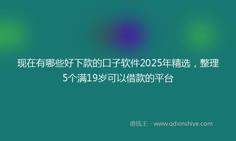 现在有哪些好下款的口子软件2025年精选，整理5个满19岁可以借款的平台
