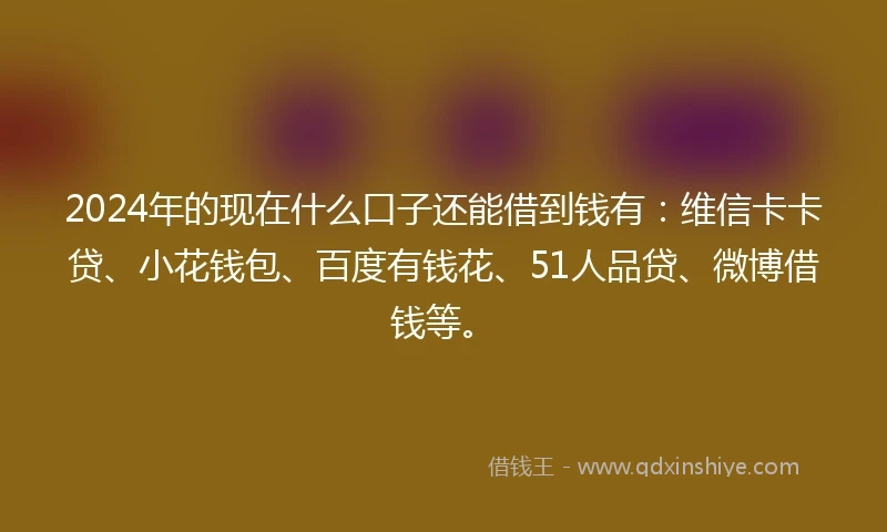 2024年的现在什么口子还能借到钱有：维信卡卡贷、小花钱包、百度有钱花、51人品贷、微博借钱等。