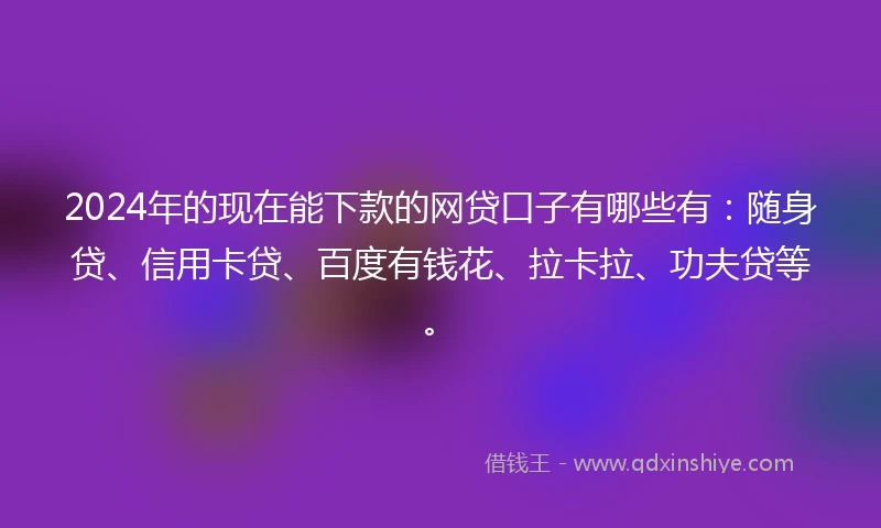 2024年的现在能下款的网贷口子有哪些有：随身贷、信用卡贷、百度有钱花、拉卡拉、功夫贷等。