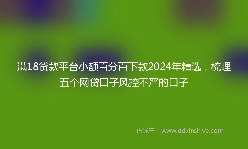 满18贷款平台小额百分百下款2024年精选，梳理五个网贷口子风控不严的口子