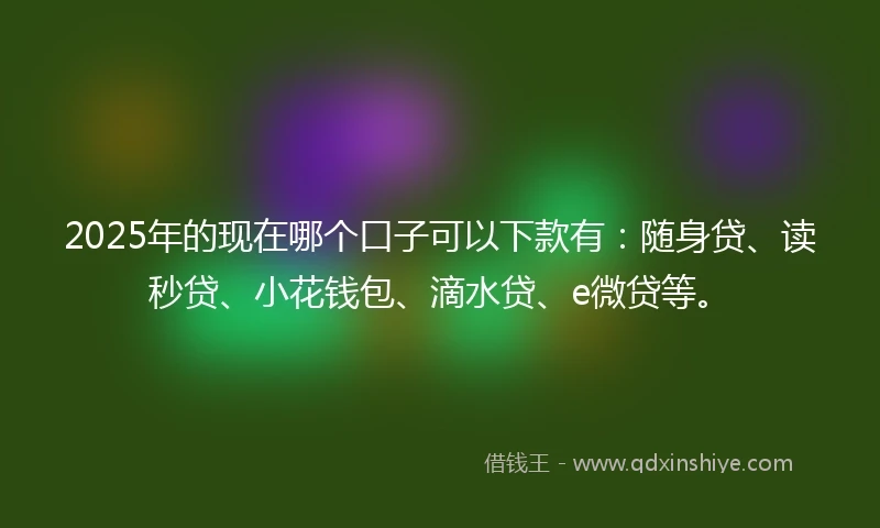 2025年的现在哪个口子可以下款有：随身贷、读秒贷、小花钱包、滴水贷、e微贷等。