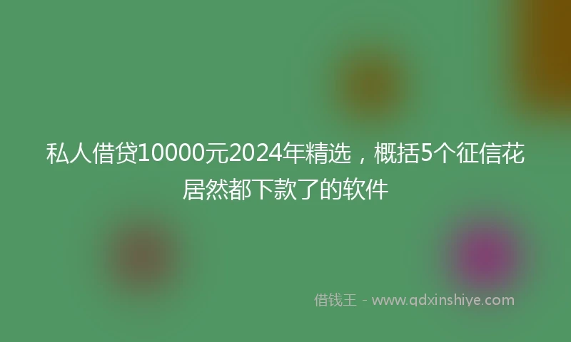 私人借贷10000元2024年精选，概括5个征信花居然都下款了的软件